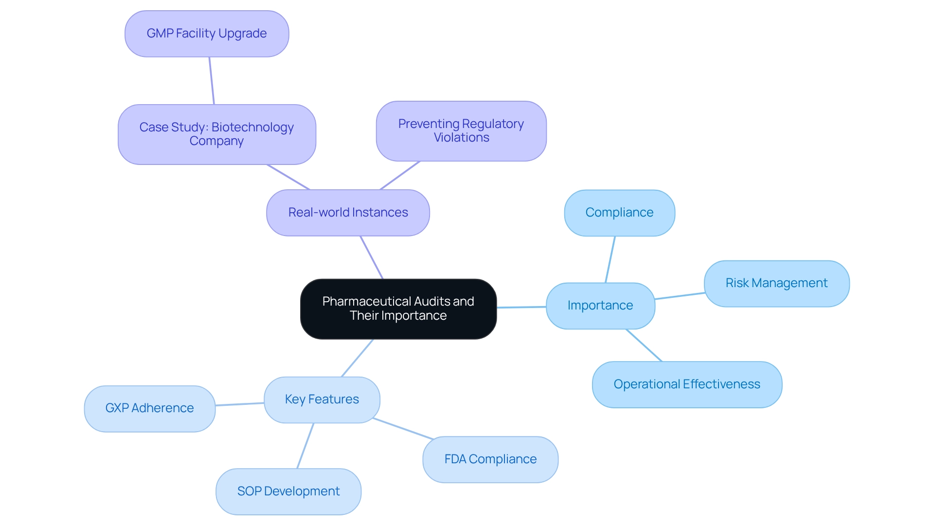 At the center, you'll find the main topic of pharmaceutical audits. Branches will show why they matter, their essential features, and real-world examples of their impact. Each color represents a different aspect, helping you see the connections and importance in the industry. At the center, you'll find the main topic of pharmaceutical audits. Branches will show why they matter, their essential features, and real-world examples of their impact. Each color represents a different aspect, helping you see the connections and importance in the industry.