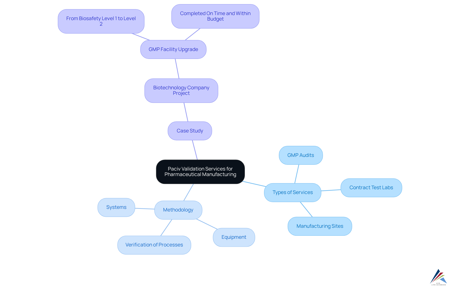 The center node represents the main service provided. Each branch reveals key components and examples that illustrate how AVS Life Sciences supports pharmaceutical manufacturers.