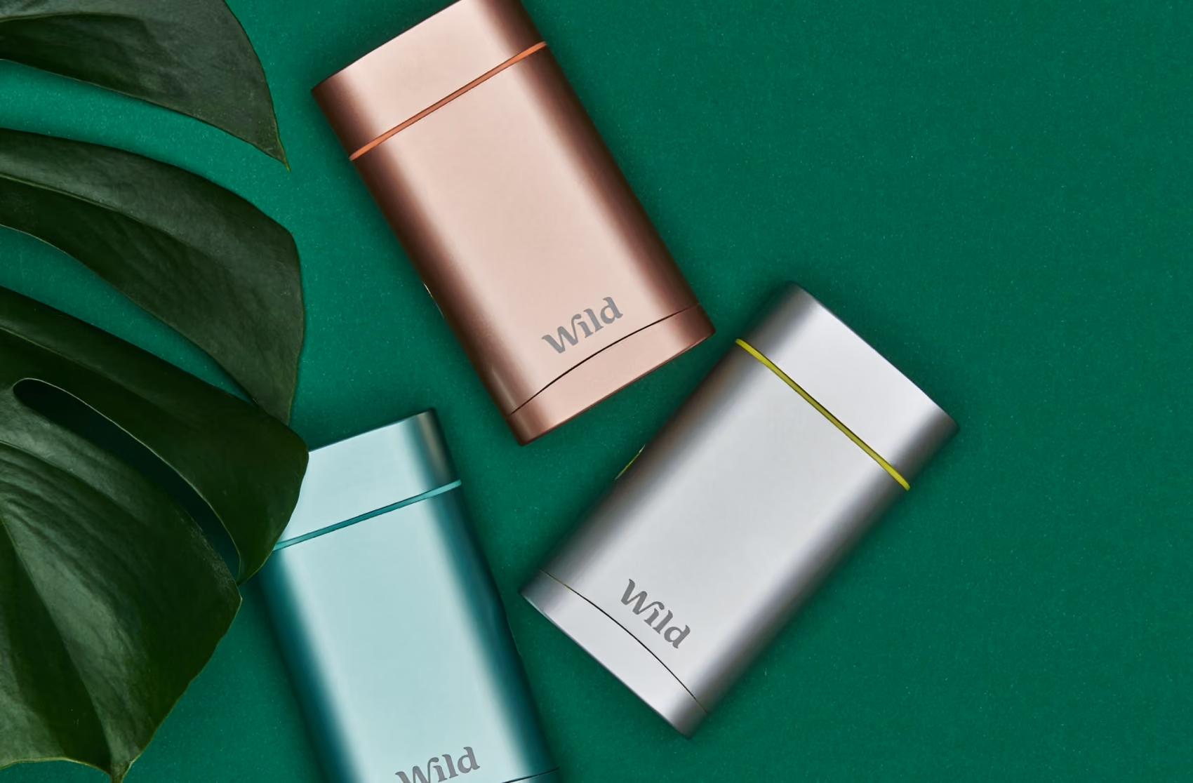 Three Wild deodorant cases beside a large leaf on a green background