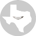 The state of Texas icon