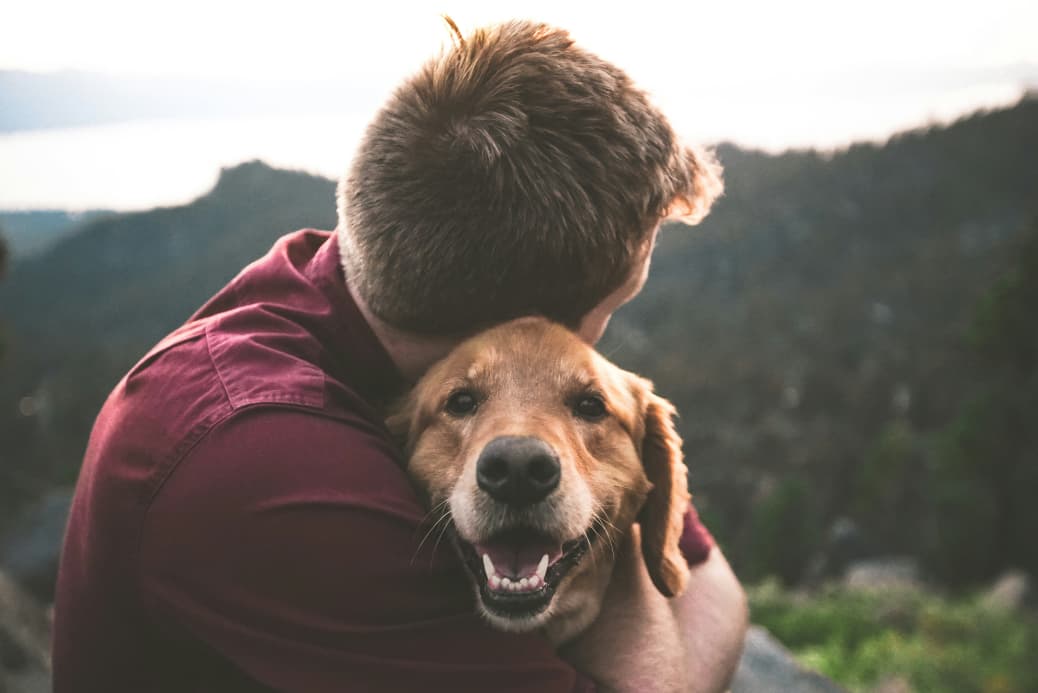 Ein Mann in einem weinroten Hemd umarmt einen glücklich aussehenden goldenen Hund in einer Naturumgebung.