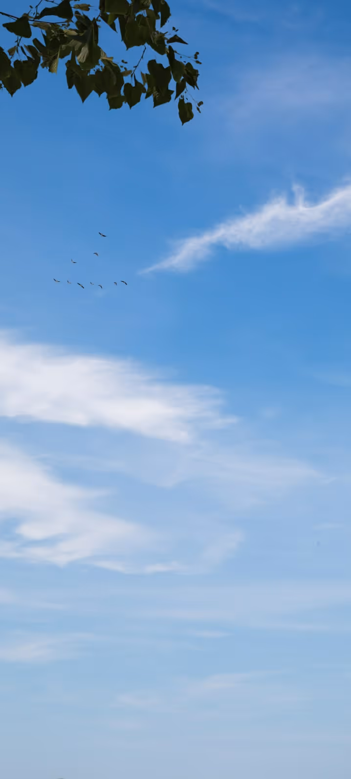 sky
