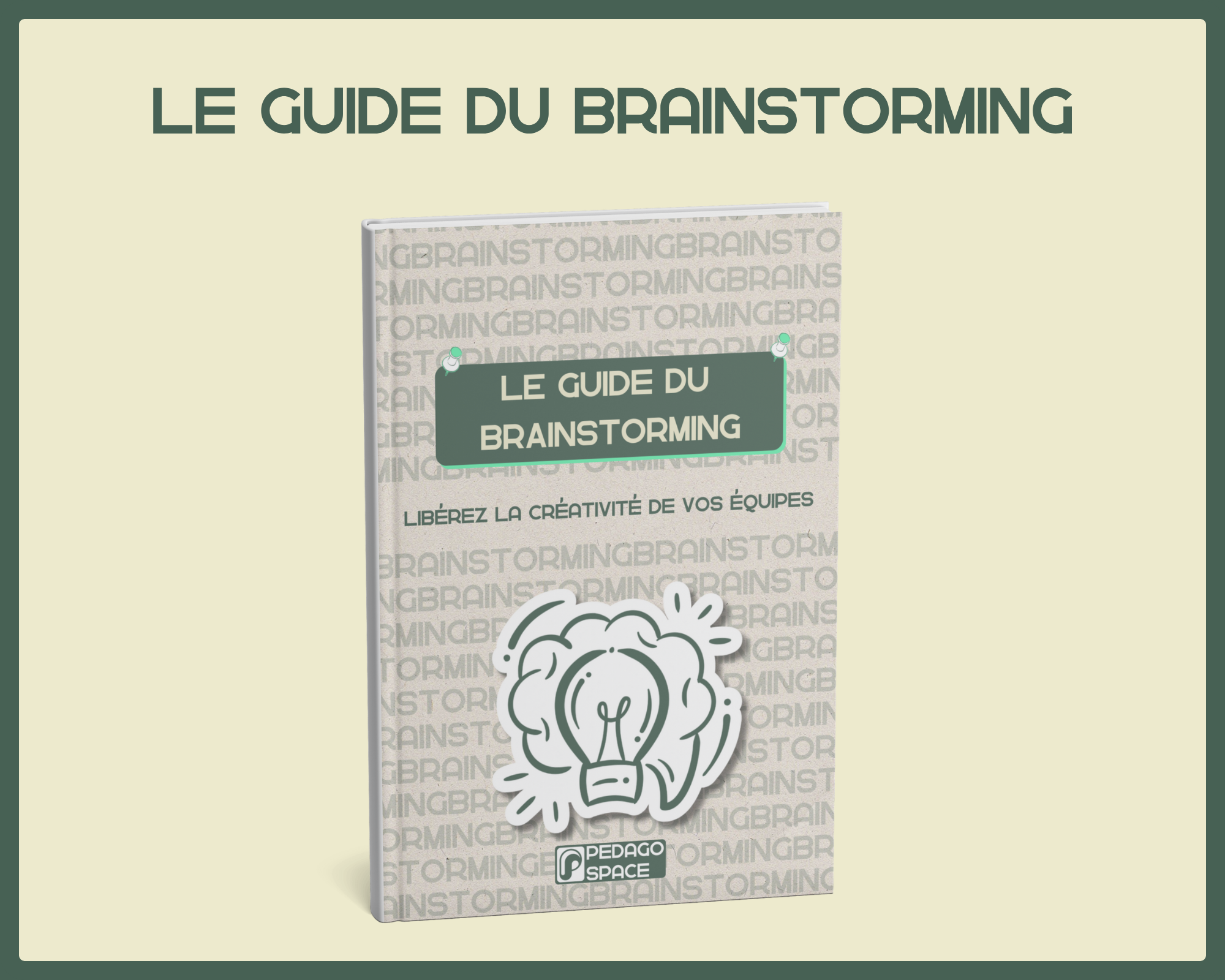 Visuel guide du brainstorming, couverture