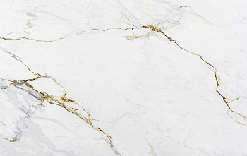 Apollo White