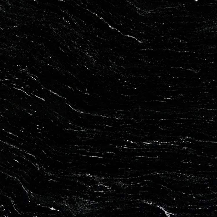 Negro Via Lactea