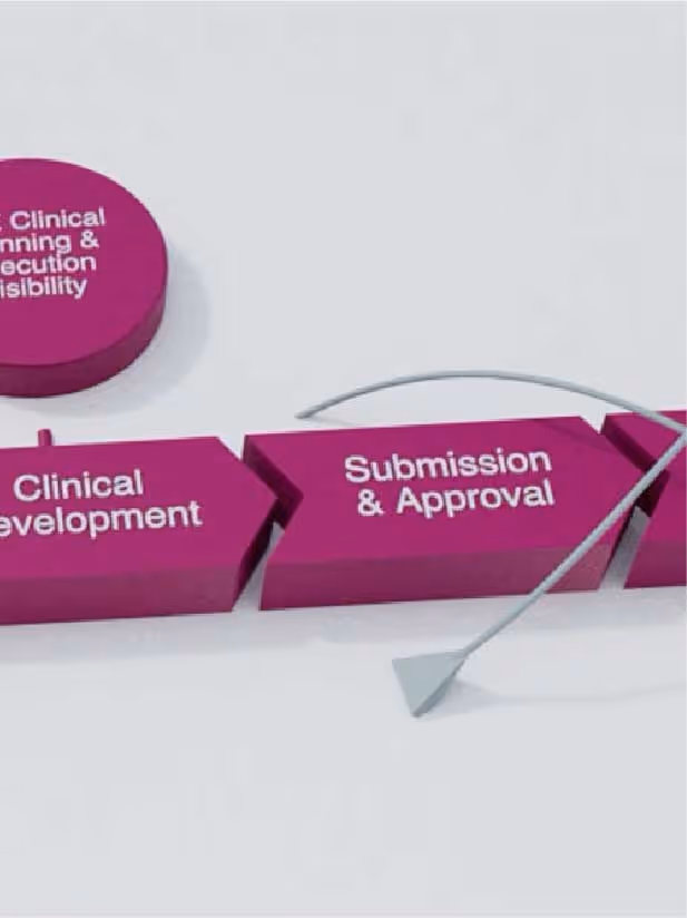 Healthcare Systems & Process Animations