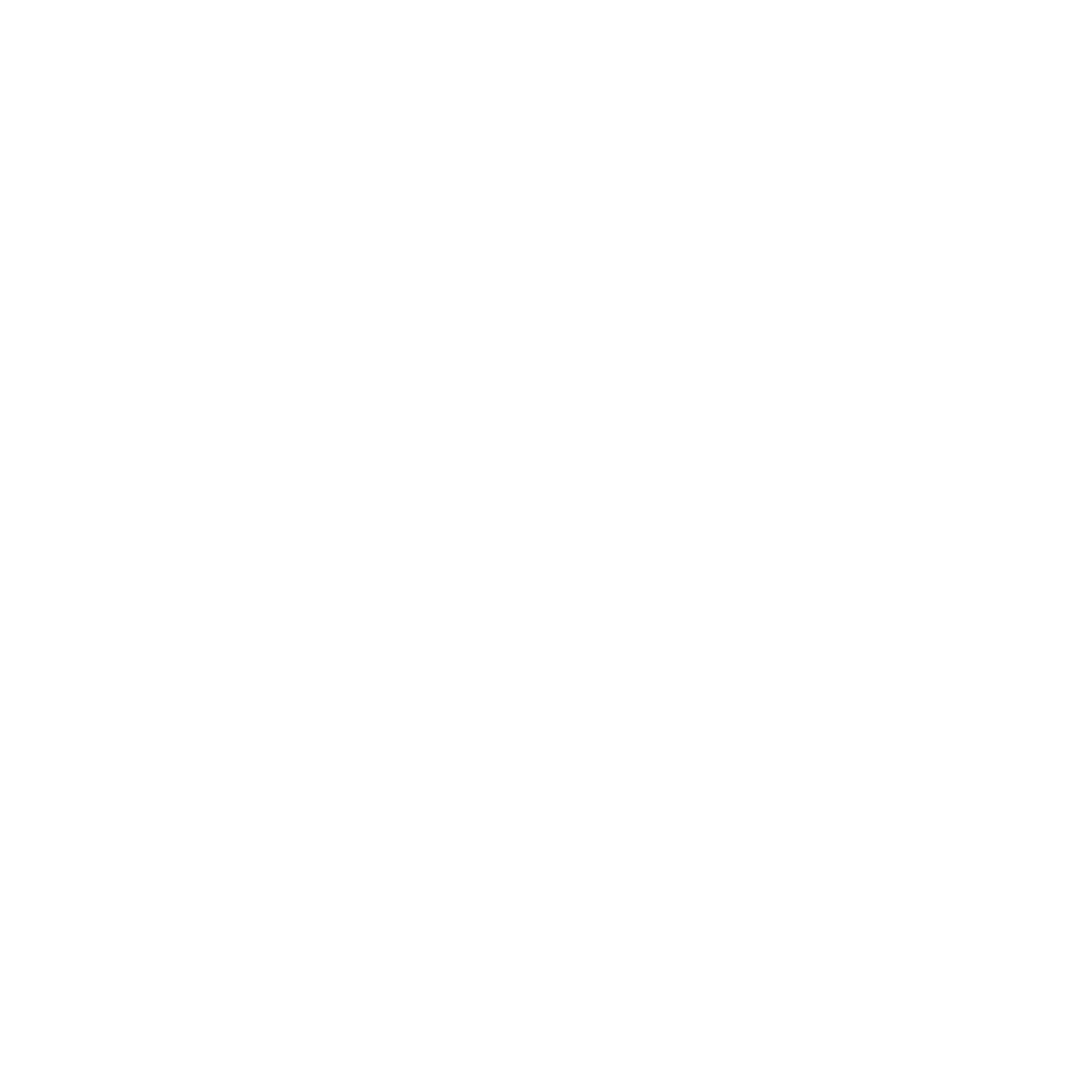 ML Logo