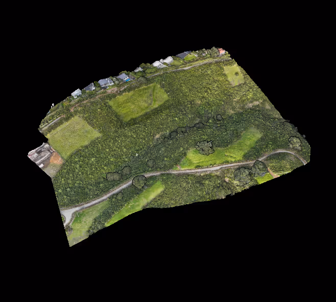 Aerial view of a green landscape with patches of grass, dense vegetation, a winding road, and houses along the top edge.