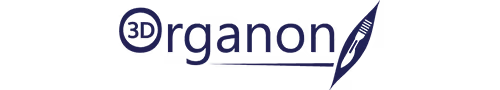 3D Organon