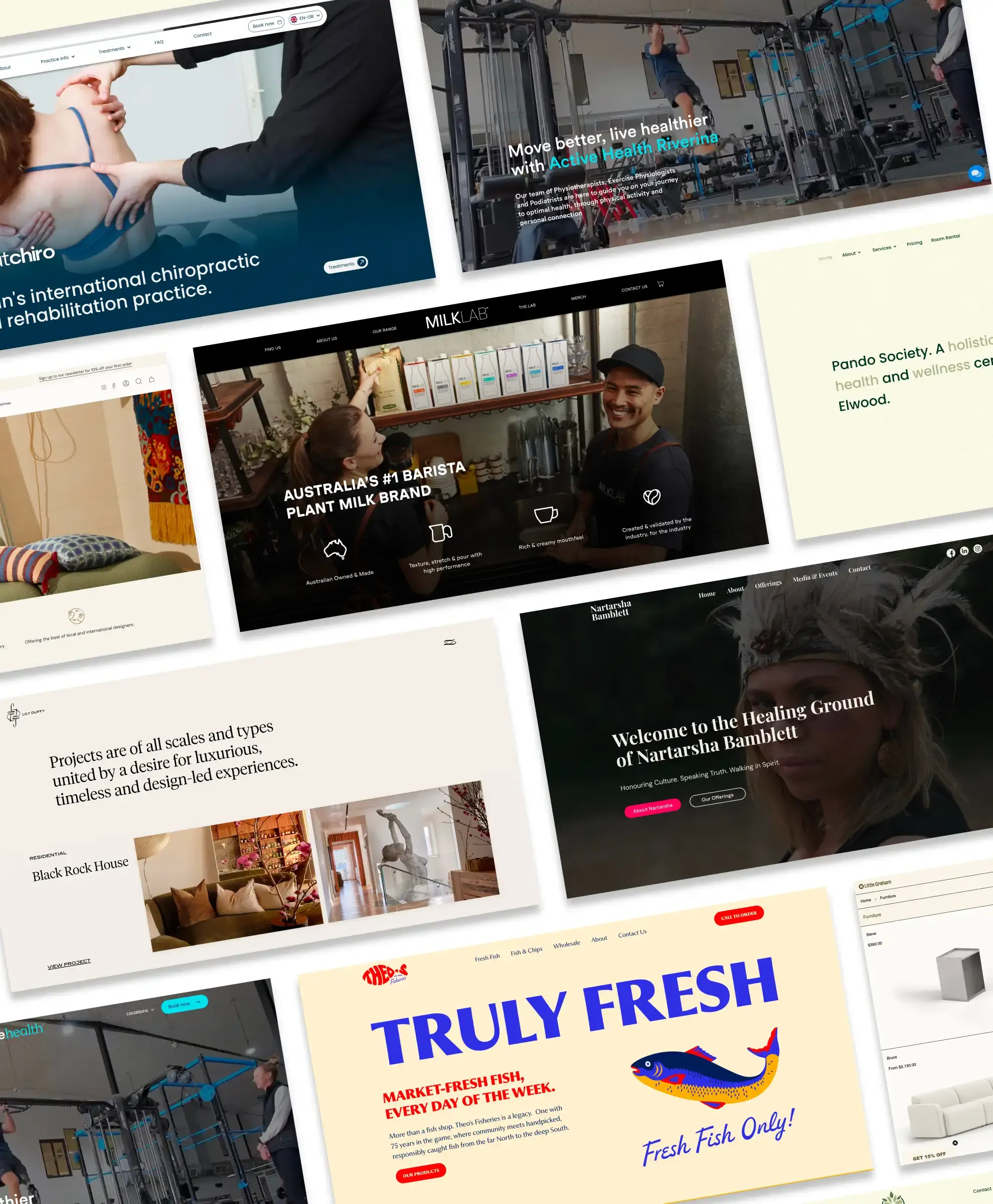 Collage of various website homepages featuring chiropractic care, plant milk brand, fitness center, cultural healing, furniture store, and fresh fish market.