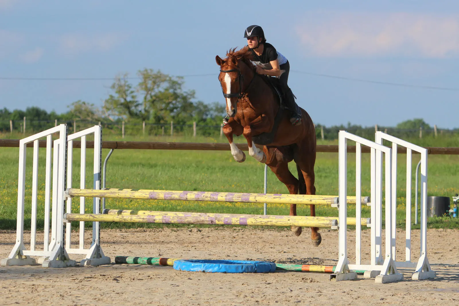 Alice Nabet, cavalière en ironde, sur un cheval alezan pieds nus en train de sauter un obstacle, formation jeunes chevaux