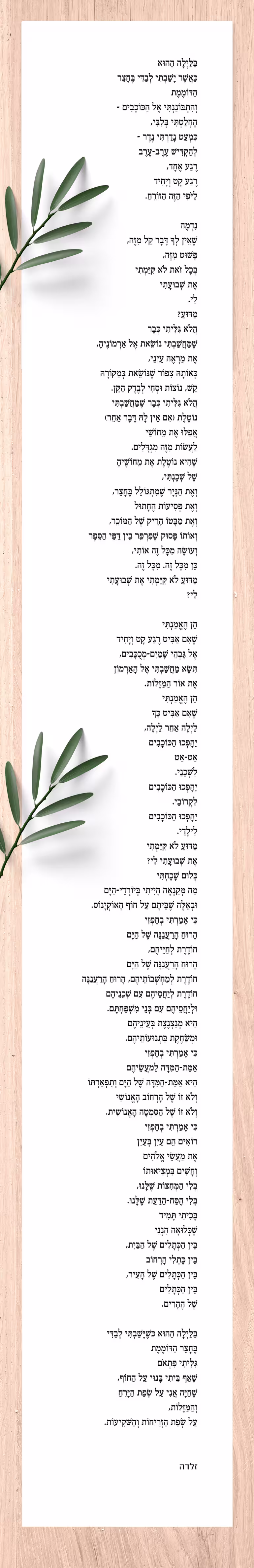 בלילה ההוא זלדה מנוקד