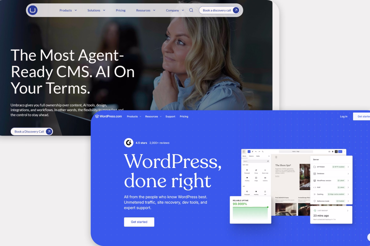 Umbraco vs WordPress blog thumbnail