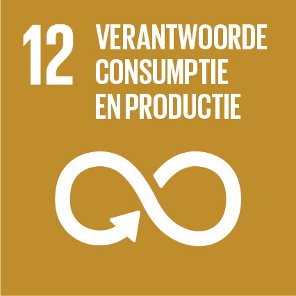 12. Verantwoorde consumptie en productie