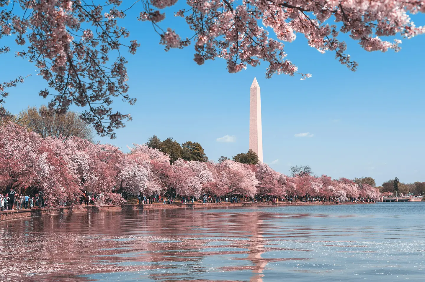 Photo of Washington, DC