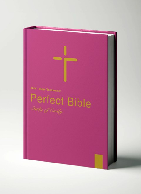 Perfect Bible