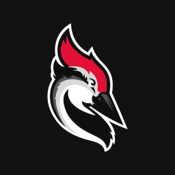 Woodpecker.co Alternatives