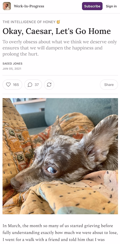 The Intelligence of Honey by Saeed Jones