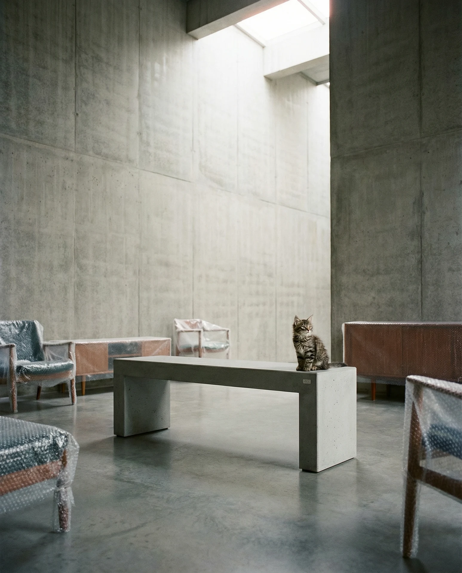 MONO als offene Betonbank in einem hohen Atelier mit verpackten Stühlen und einer Katze auf der Sitzfläche.
