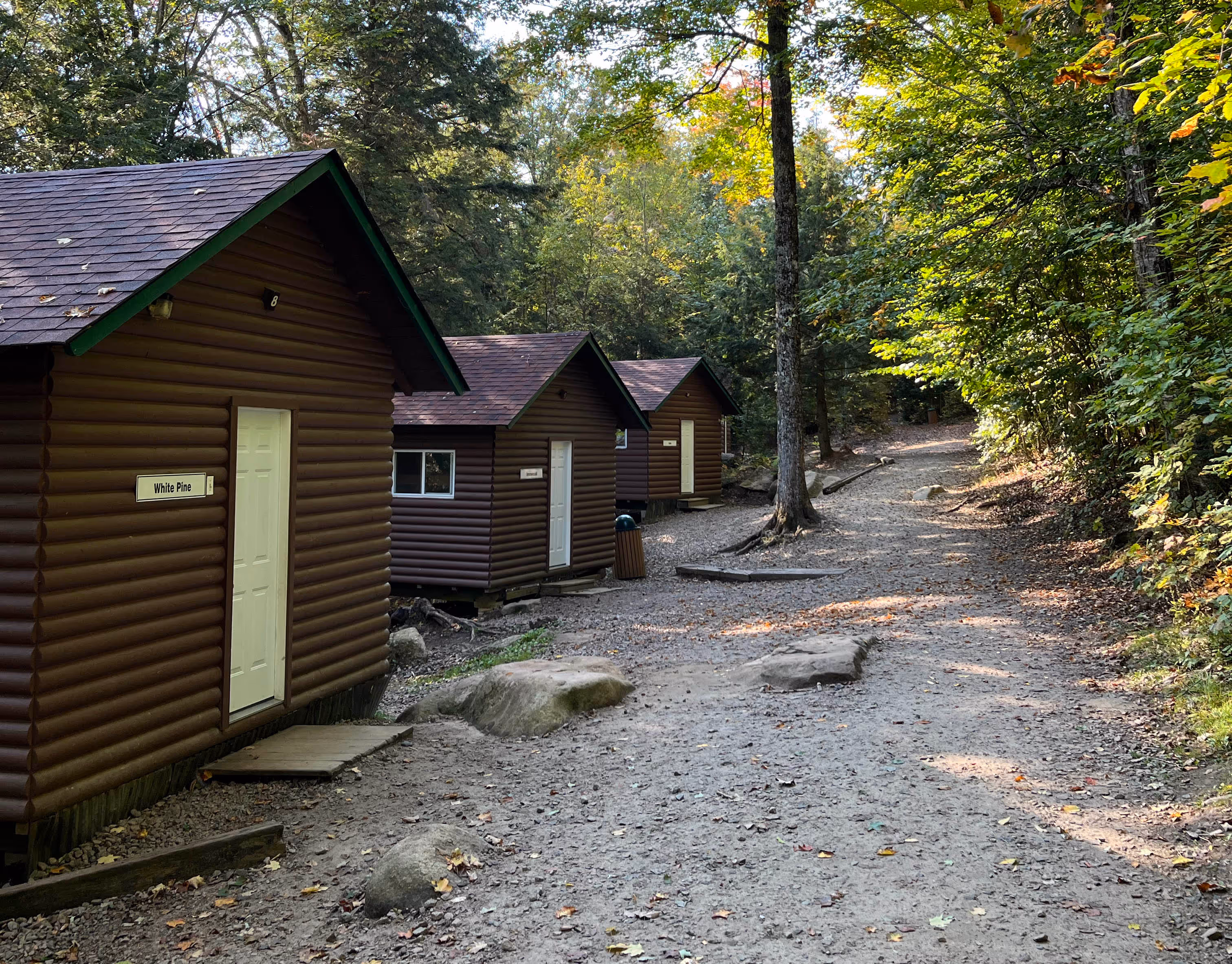 Wooden cabins along a dirt path.