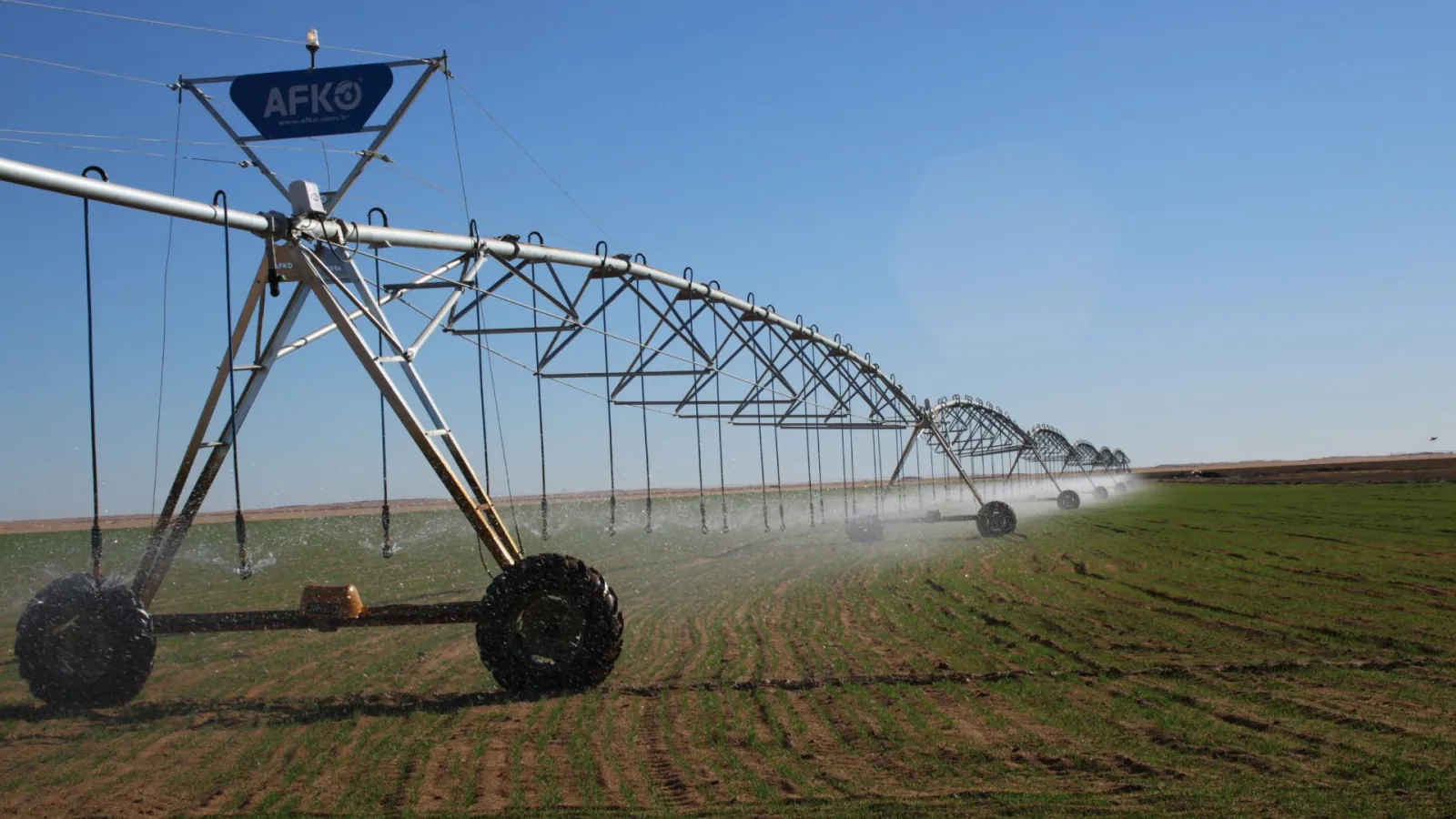 Alfalfa field irrigation system