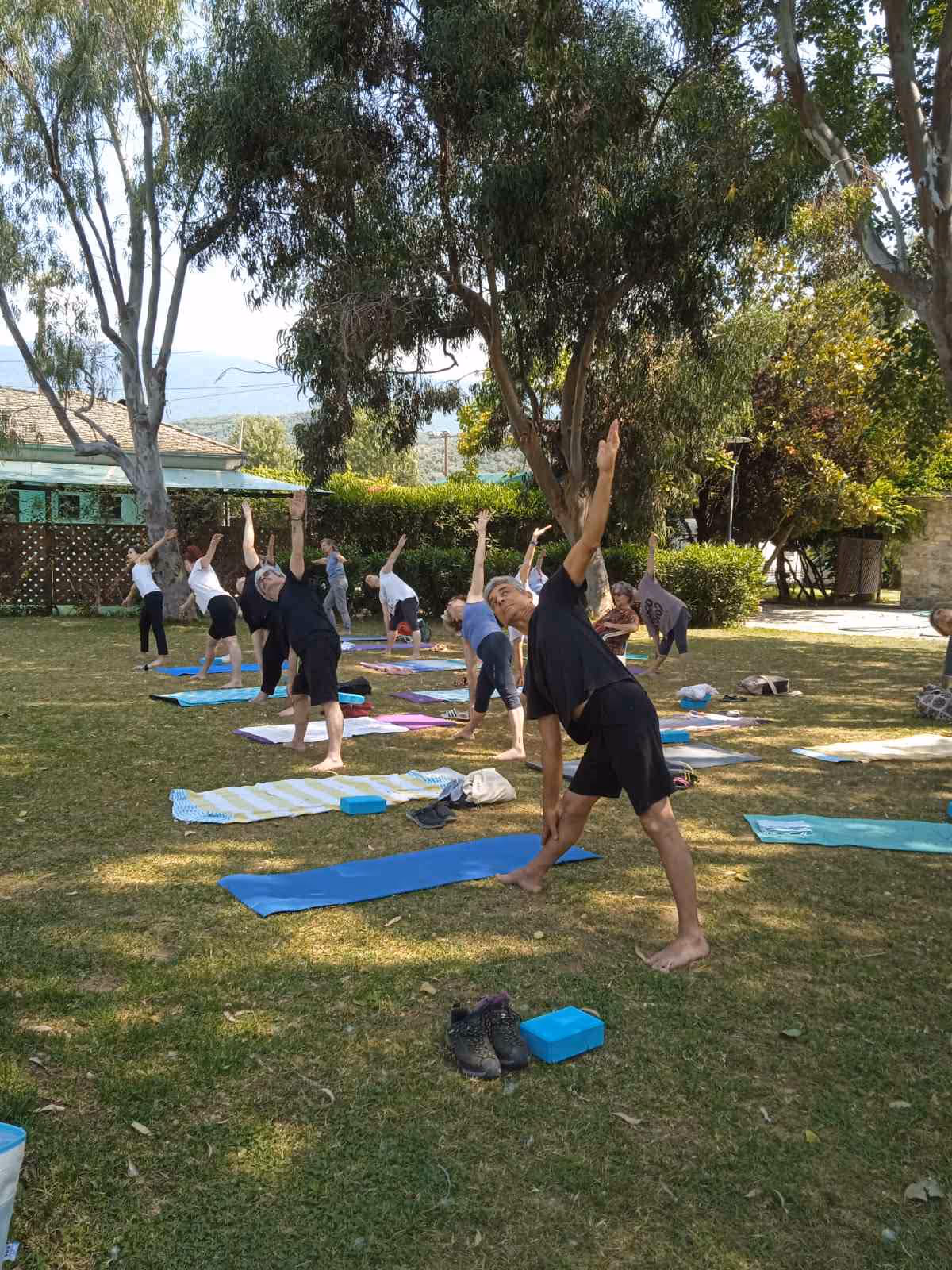 Πρωινή τάξη yoga σε παραλία, trikonasana