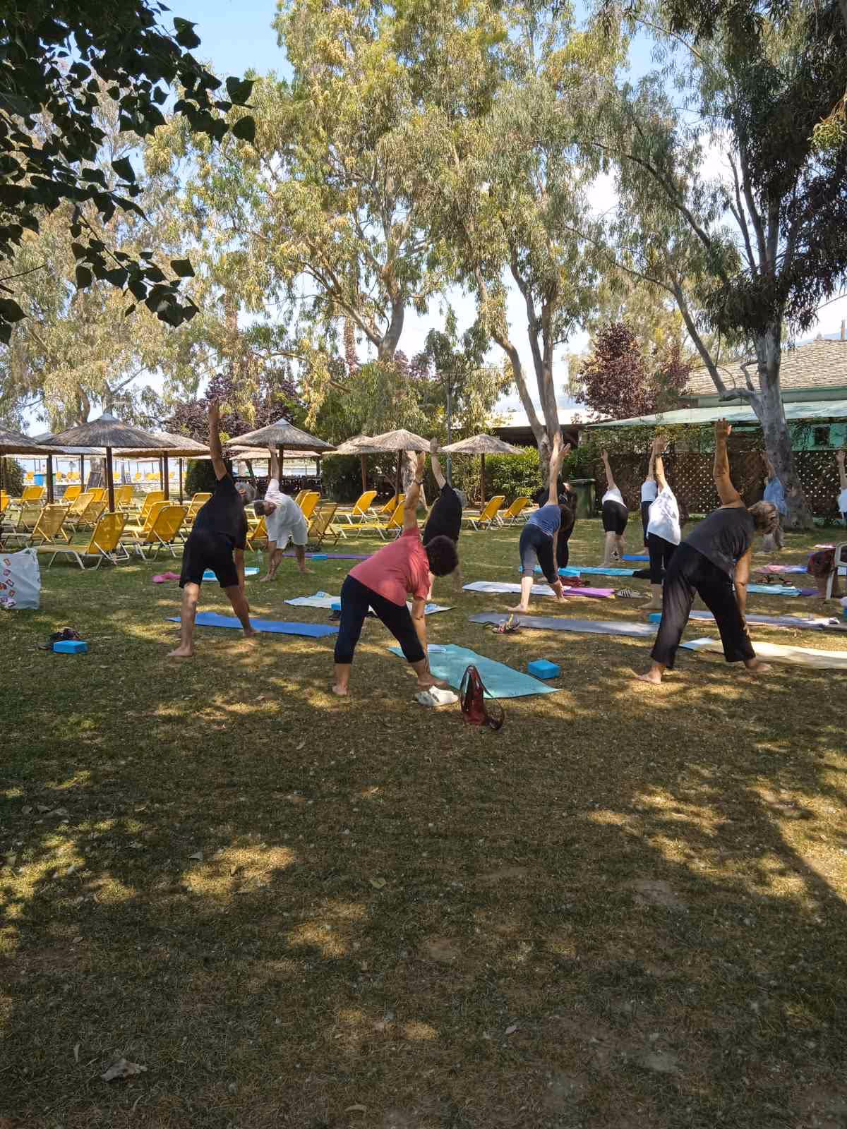 Πρωινή τάξη yoga σε παραλία, trikonasana