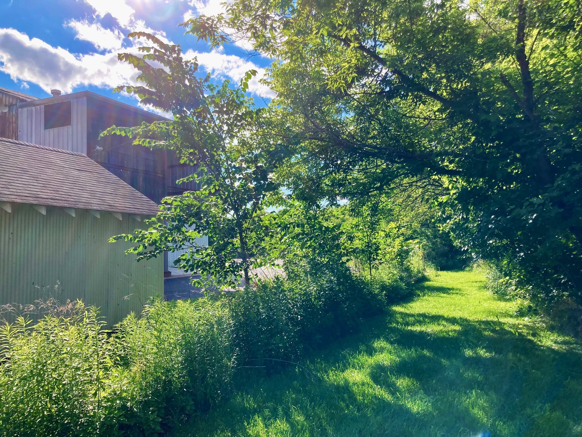 Trees and grass on the side of the property