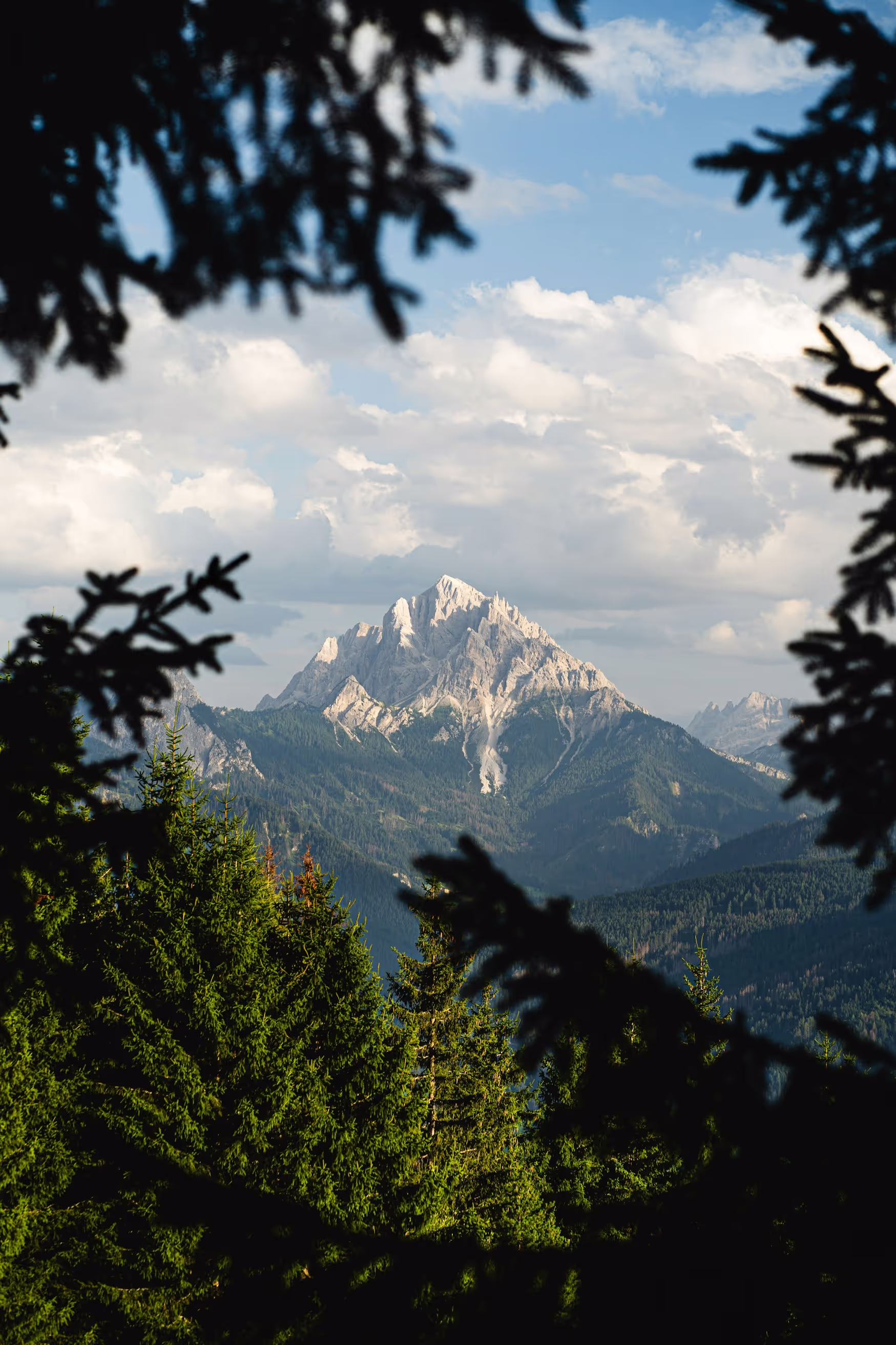 A mountain seen through forest trees