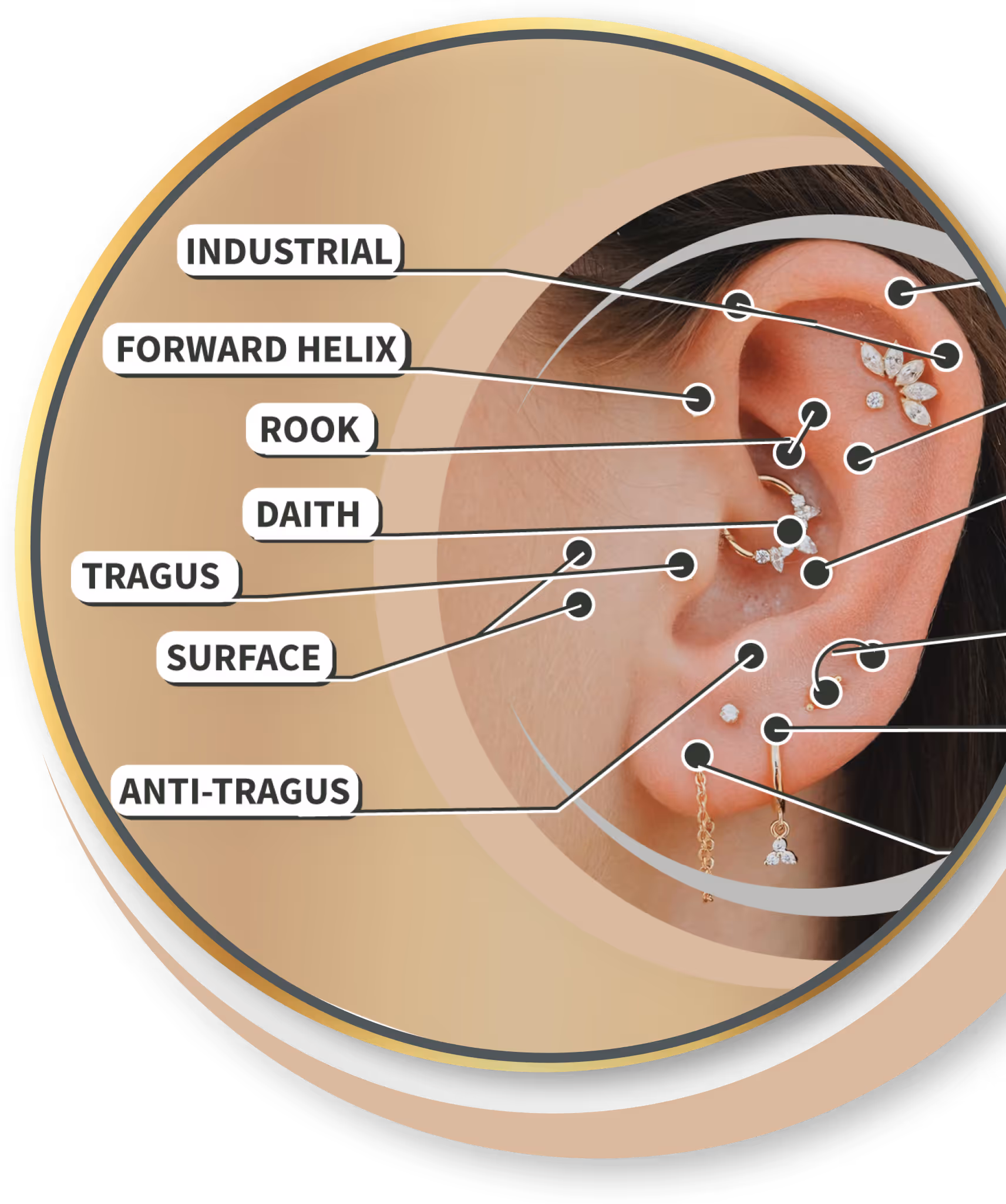 Der Piercing-Guide zeigt alle Möglichkeiten für Heinsberg 