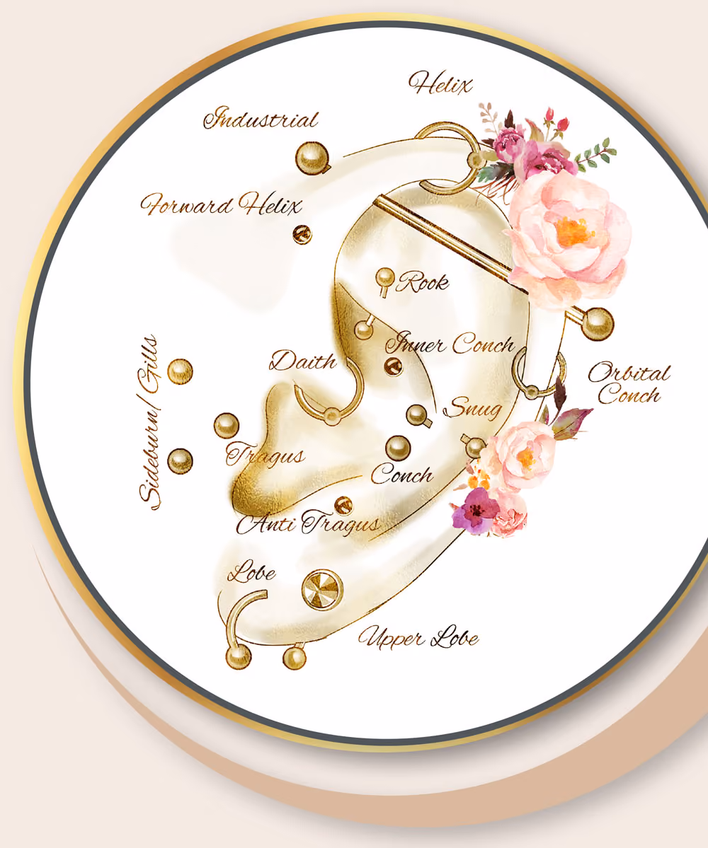 Informationen zu Akupunktur Piercings im Piercing Studio Aachen