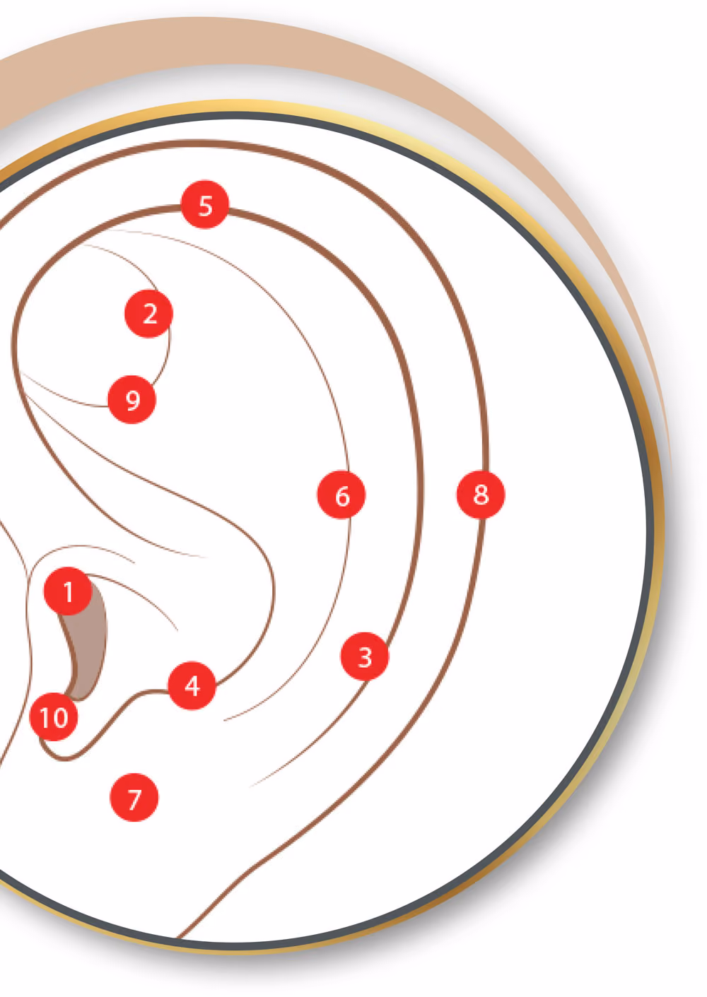 Piercings und Akupunkturpunkte im Piercing Studio nadelkunst.art in Aachen