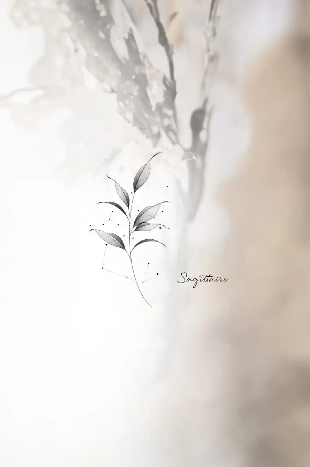 Constellation