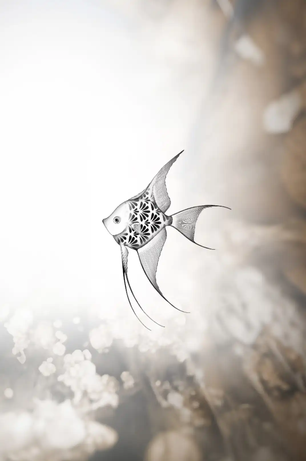 Poisson
