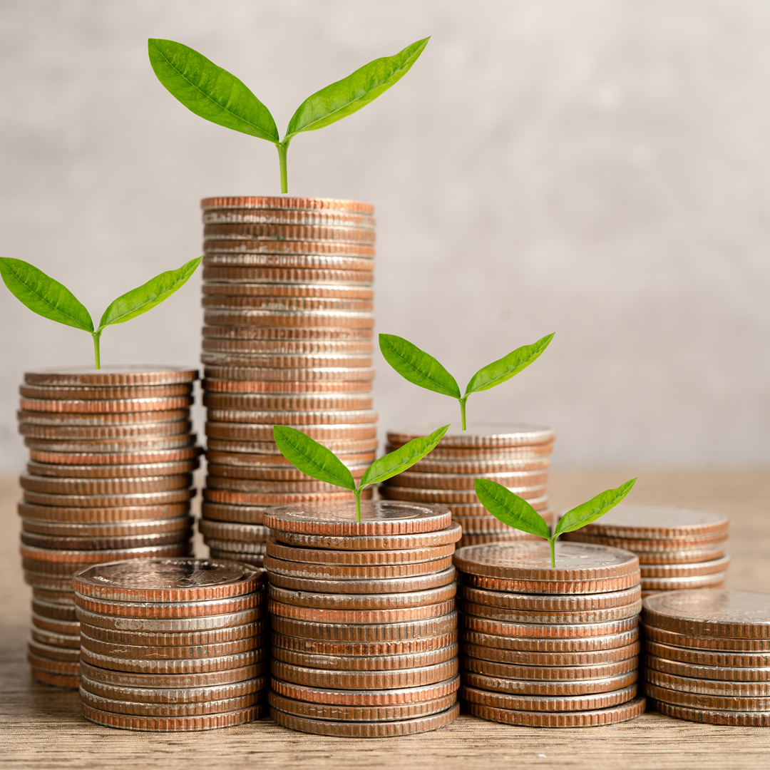 Microfinance Savings