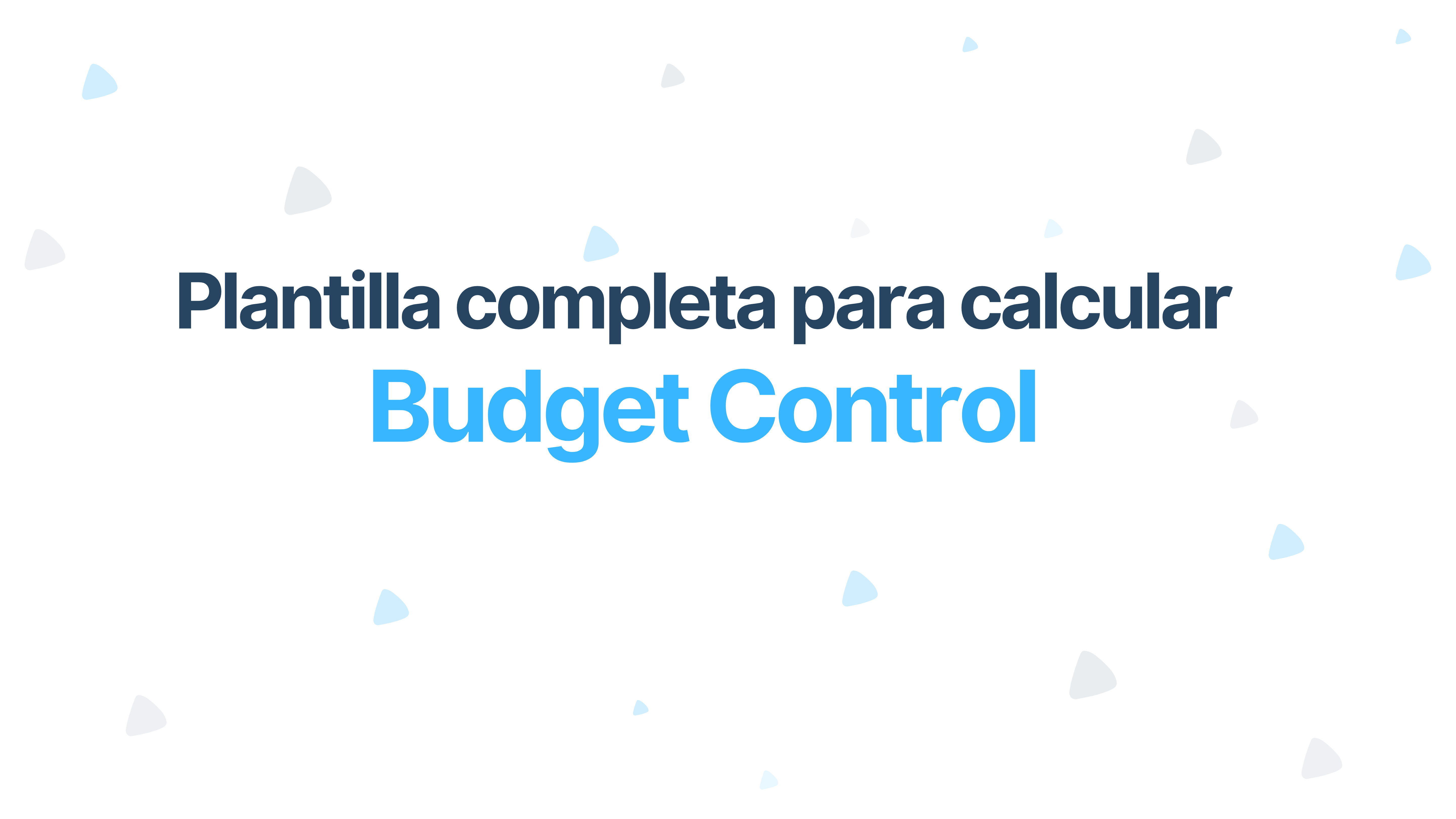Plantilla presupuesto (Budget Control)