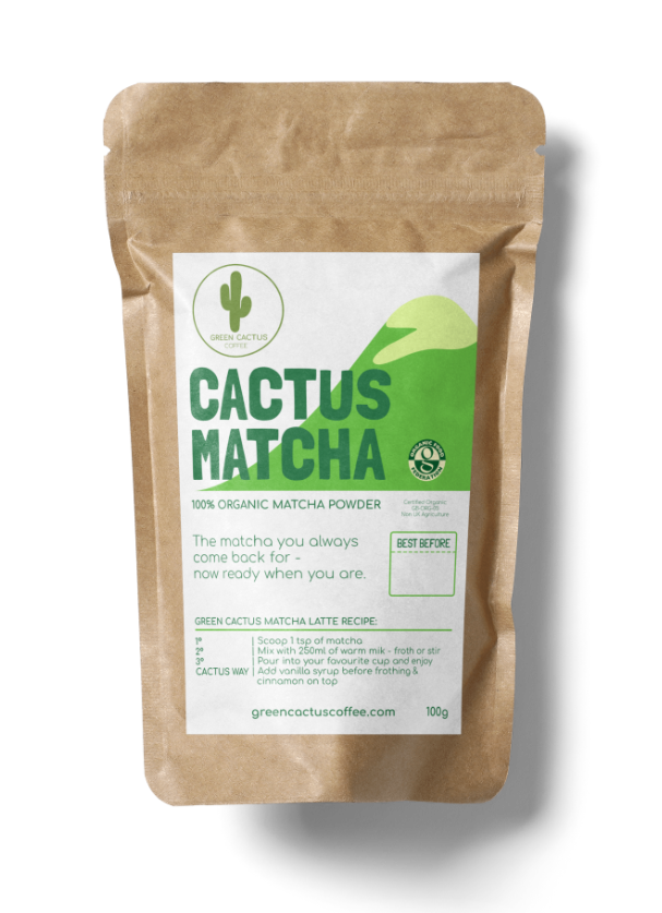 Green Cactus Cactus house pouch