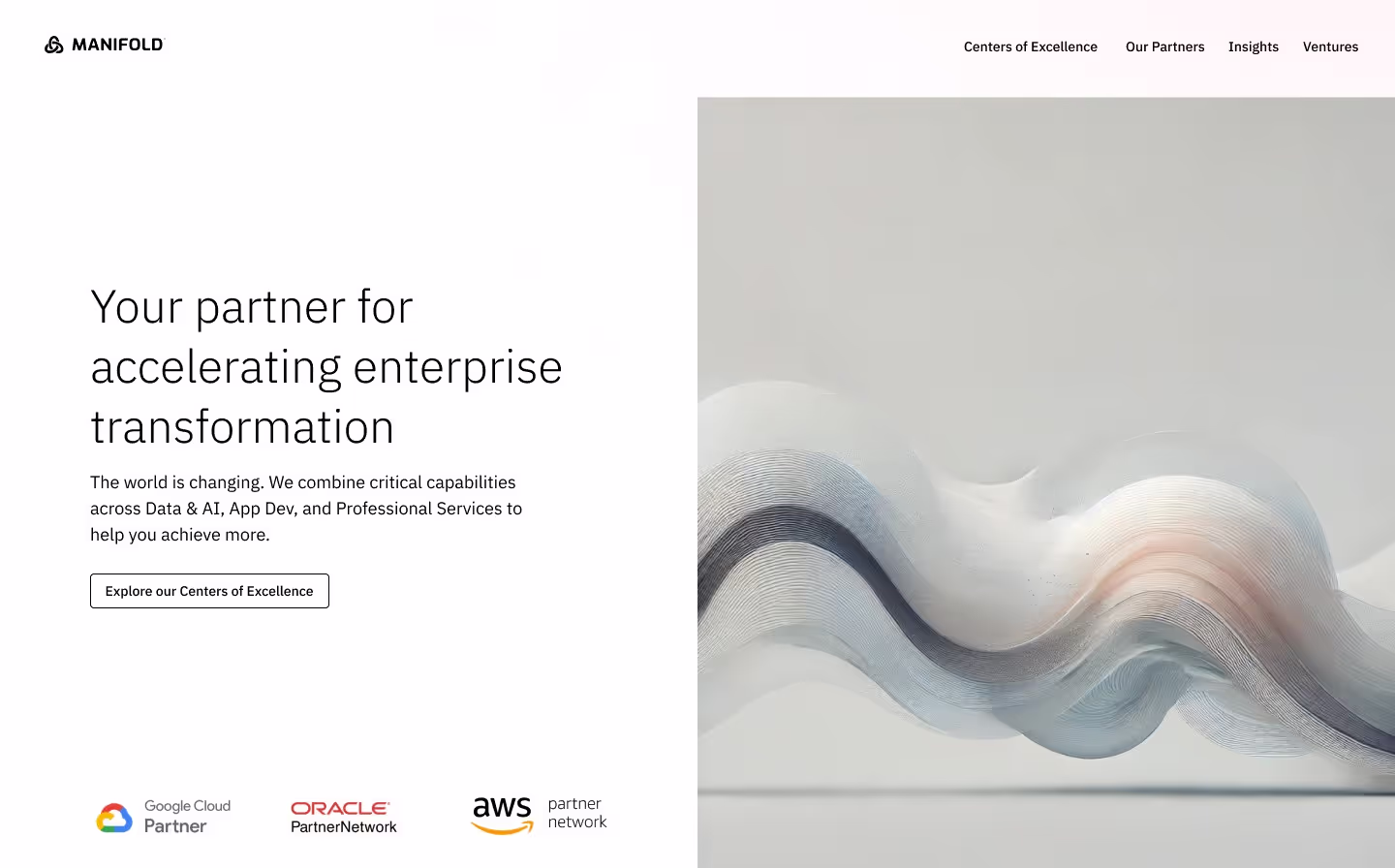 accelerating enterprise transformation Manifold logo