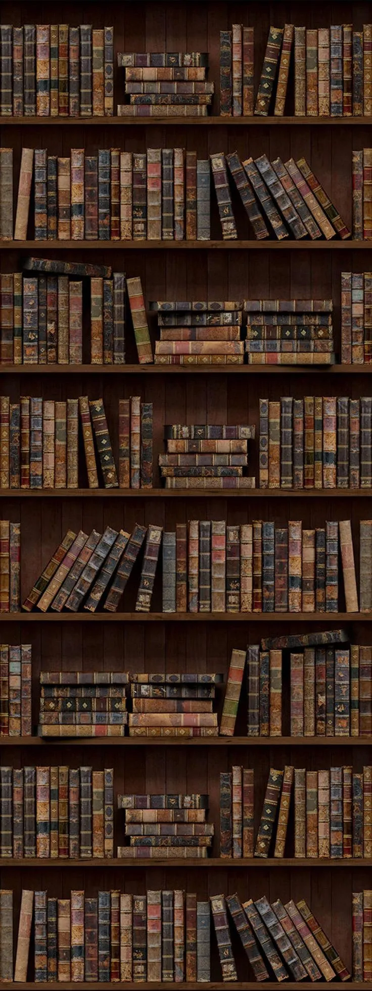 Rayonnages de livres anciens reliés