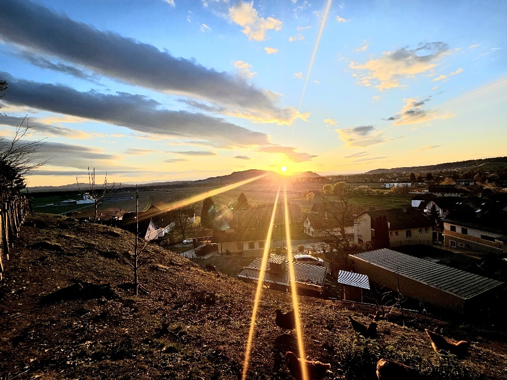 Traumhaftes Familienhaus in Sankt Georgen – 8 Zimmer, Garten, Terrasse, Top-Ausstattung!
