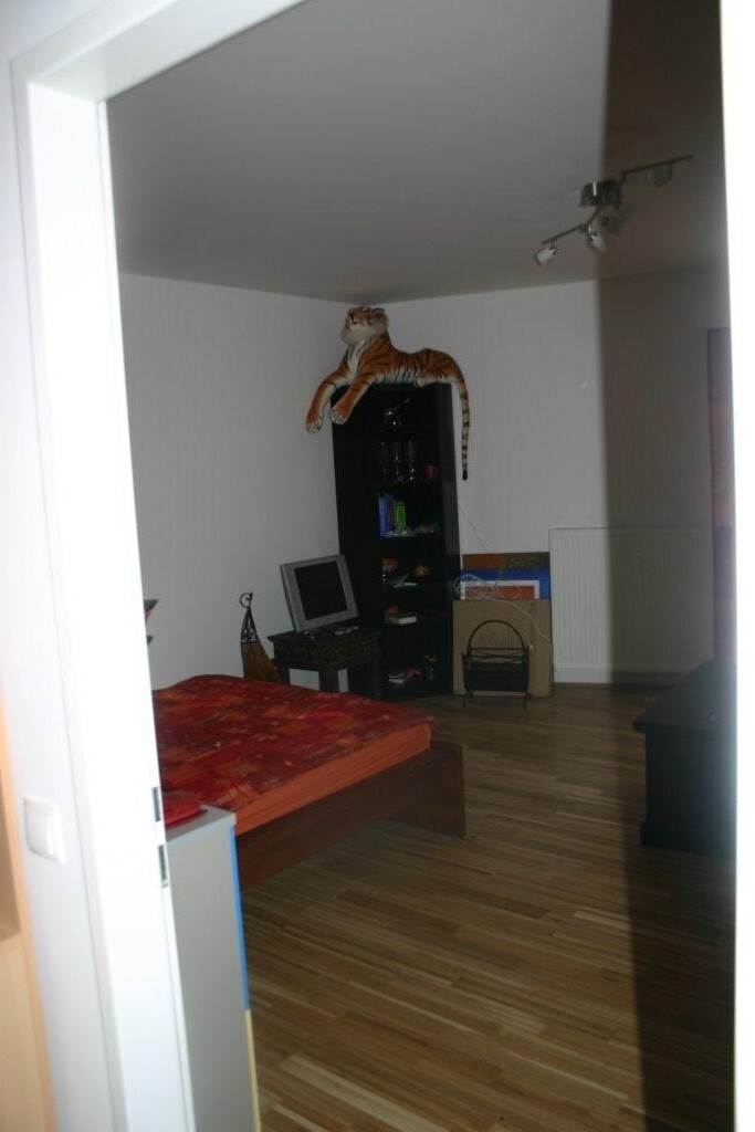 Top Wohnung 34m² mit Balkon, Einbauküche & Aufzug in 8010 Graz – Miete €627,93,-