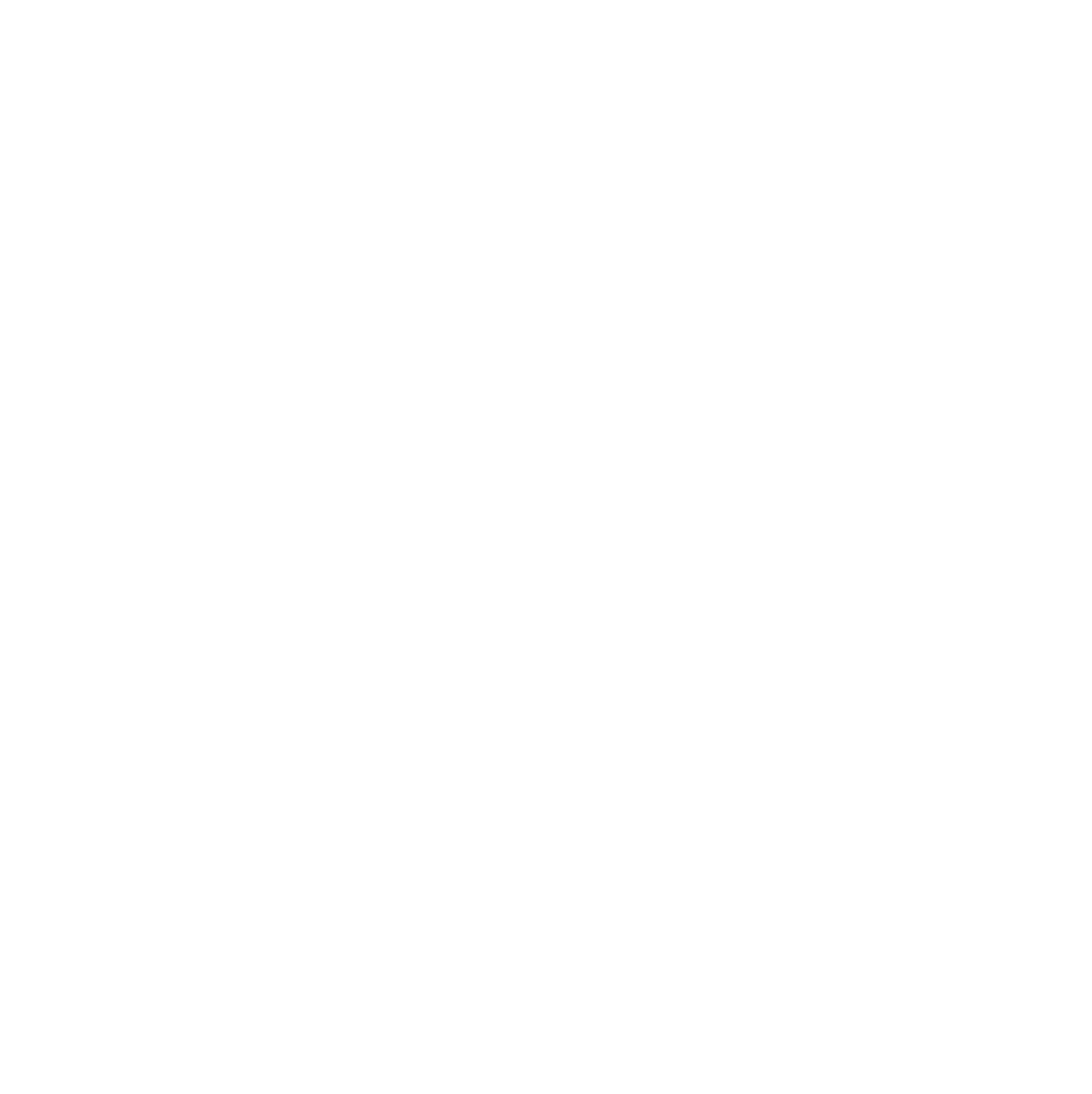 FrisienFlag
