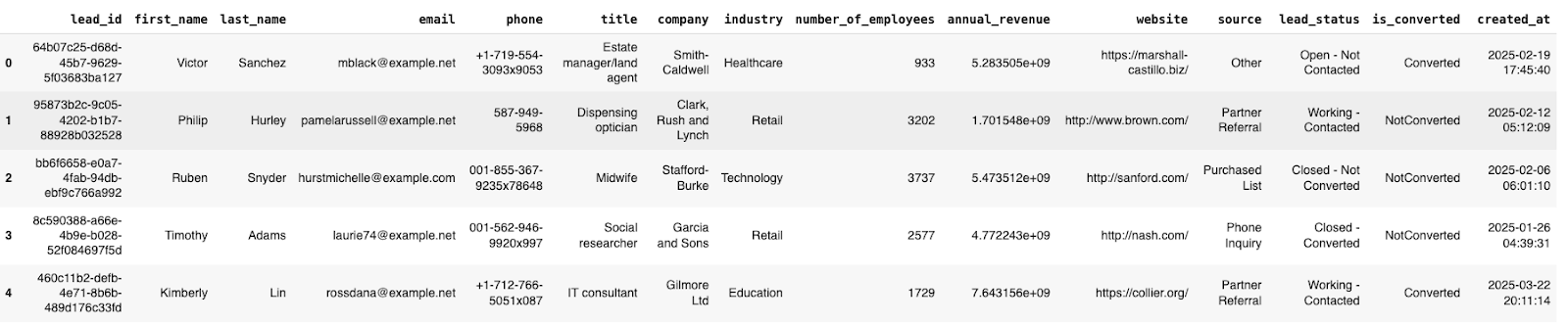 Output data from SFDC lead inputs