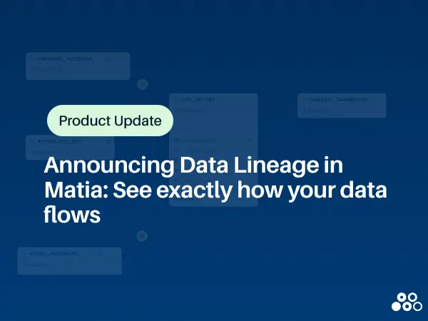 data lineage graphic with backgoround