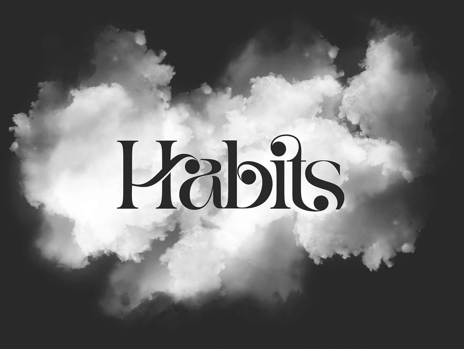 typographic logo - brandmaker
