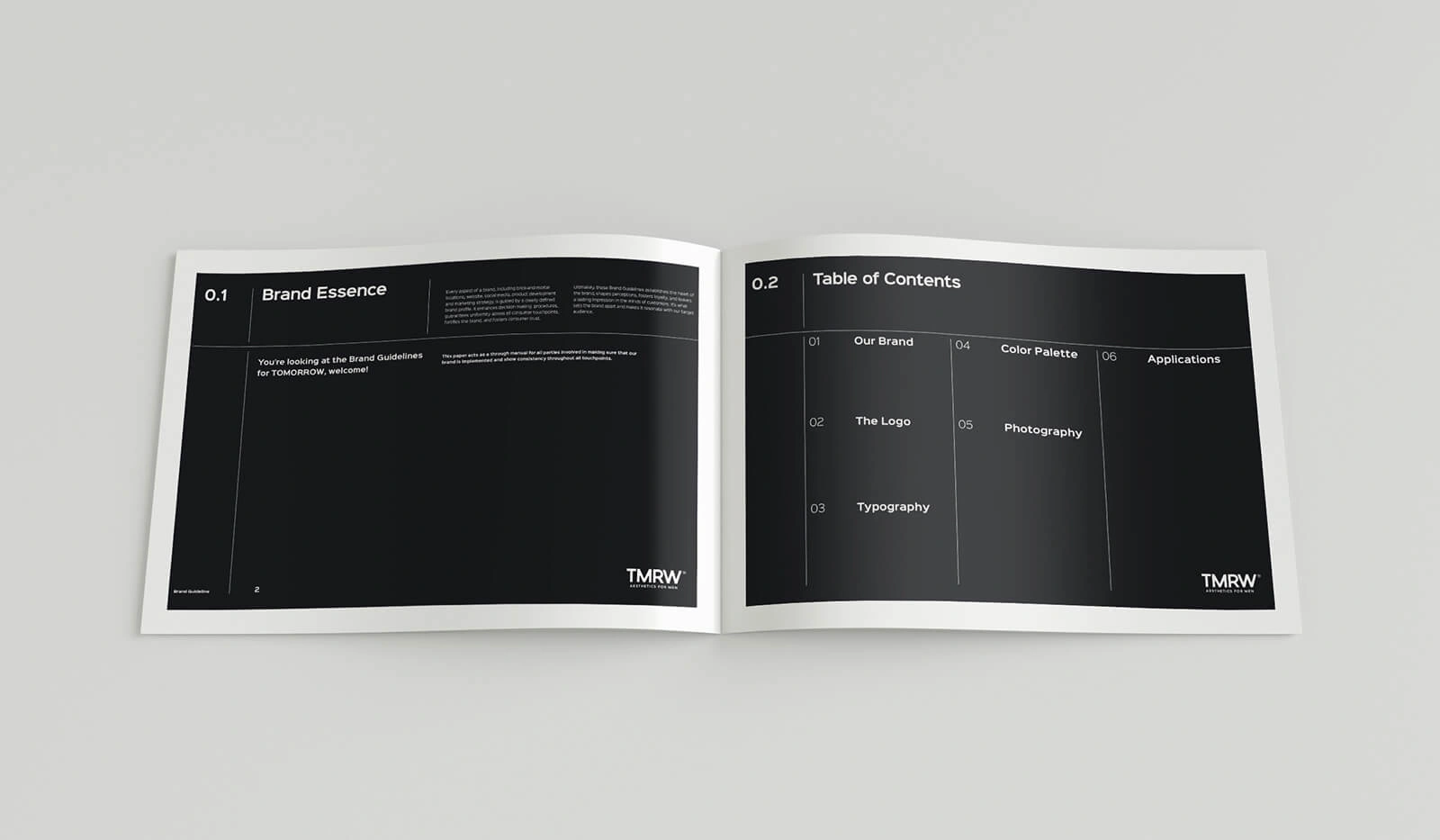 brand guidelines presentation
