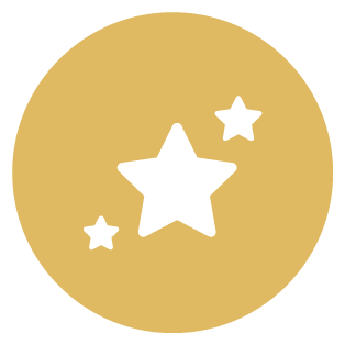 Opportunities Icon
