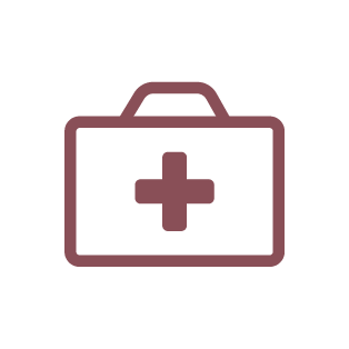 Maroon Emergency Kit Icon