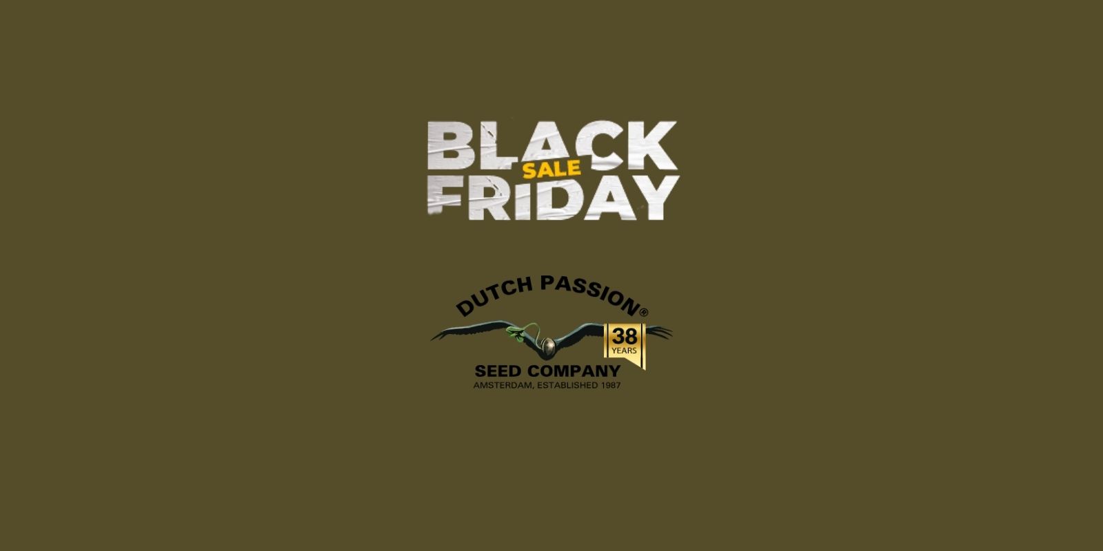 Black Friday 2 für 1 Sale bei Dutch Passion