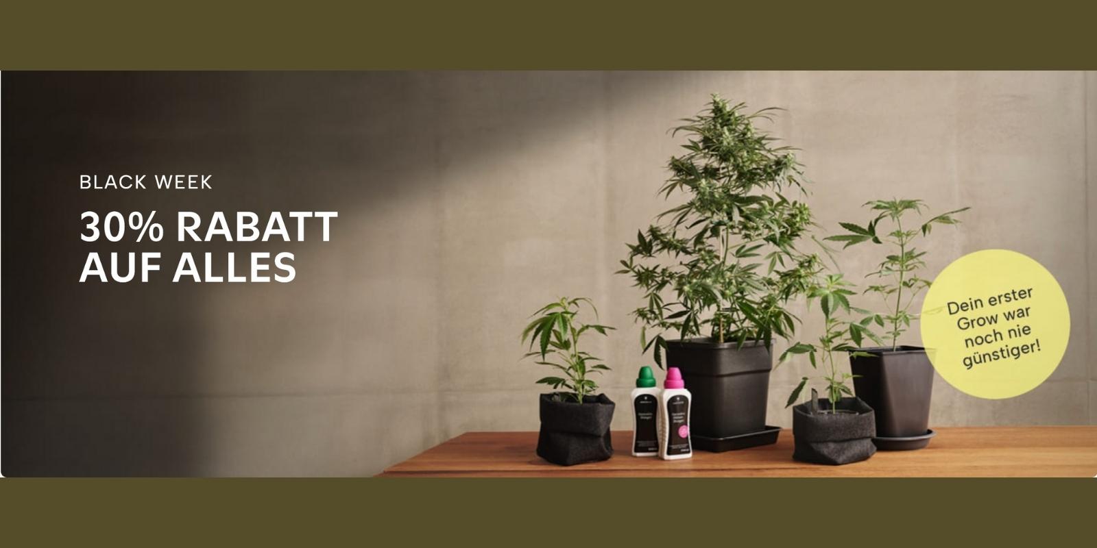 Black Friday bei Hanfgarten